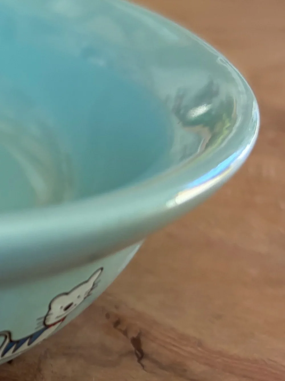 🐱 Whisker City “Meow” Cat Dish Bowl | Aqua Blue Ceramic Pet Bowl 🩵💚